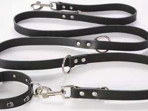 Hundebiss beim Gassi gehen: Muss die Unfallversicherung zahlen?