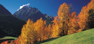 BMF: Bewertung von Nutzungssätzen nach § 34b EStG