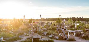 Tempelhofer Feld Berlin Projektnutzung Gemeinschaftsgarten