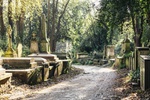 Sehr grüner Friedhof mit alten Grabsteinen
