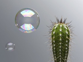 Seifenblase Blase Kaktus