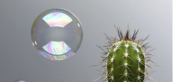 Seifenblase Blase Kaktus