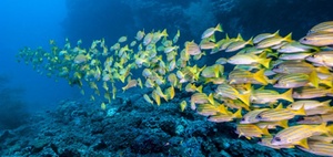 Entwicklung von Pflegeimmobilien: 3 Fragen an Ralf Licht