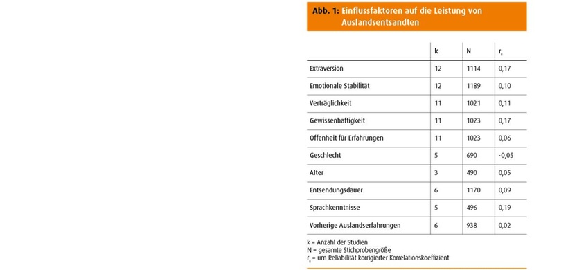 Einflussfaktoren auf die Leistung von ­Auslandsentsandten