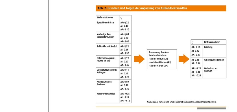 Ursachen und Folgen der Anpassung von Auslandsentsandten