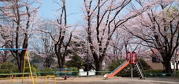 Spielplatz im Frühling