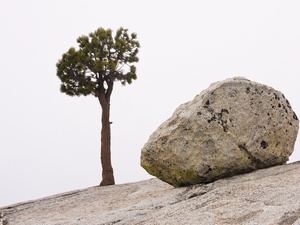 Auslegen von Findlingen ist bauliche Veränderung