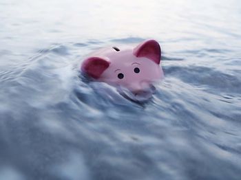Steuerklasse_Insolvenz_ertrinkendes Sparschwein