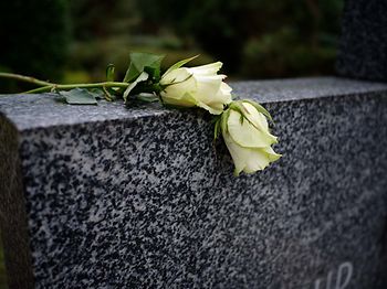 Steuerklasse_Todesfall_Rose auf Grabstein