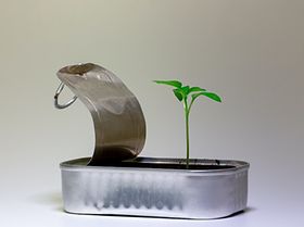 Sustainable Start-ups