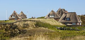 Sylt Hörnum Reetdach Häuser Dünen Nordsee