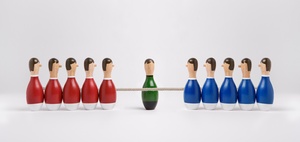 Das große Tauziehen: Wer prüft den Nachhaltigkeitsbericht?