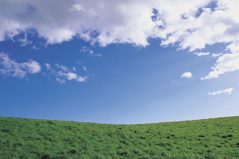 Tipp 5: Gehen Sie grüne Wege.