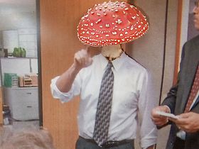 Toxizität Pilzkopf