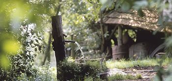 Trial and Error: Wasser schöpfen