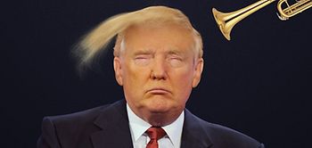 Trumpdonald.org
