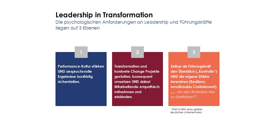 TT Mercer Leadership in Transformation