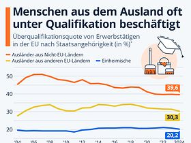 Überqualifikation ausländische Erwerbstätige