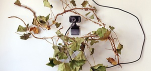 Mitarbeiterkontrolle: Zulässige Maßnahmen