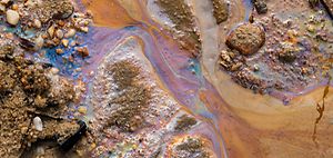 Umweltverschmutzung Öl