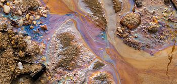 Umweltverschmutzung Öl