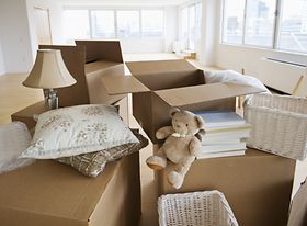 Umzugskartons Bücher Kuscheltiere in Wohnung