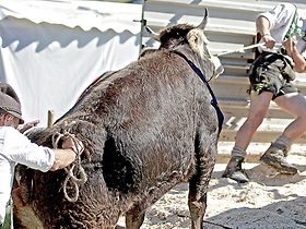 Und wenn es nicht will?