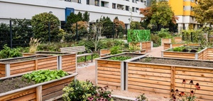 Wohnungsunternehmen & Stadtentwicklung: Kultur in Quartieren