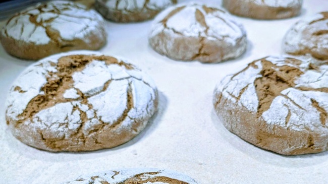 ValueGrain macht aus Treber einen Zusatzstoff für Brot und Wurst