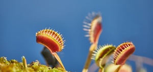 Thüringen bekämpft Leerstand mit neuen Eigenheim-Krediten