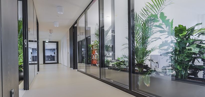 Verglaste Büros_Kaifu