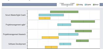 Vergütung: Scrum Master oder Agile Coach
