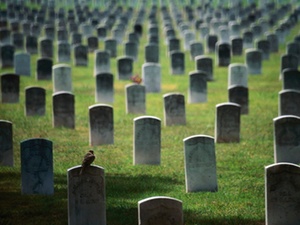 Altenhilfe: Sozialhilfe zahlt keine Fahrtkosten zum Friedhof