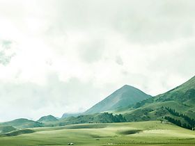 Viessmann Green Hills
