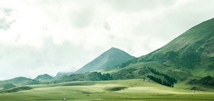 Frauke von Polier über die Transformation bei Viessmann