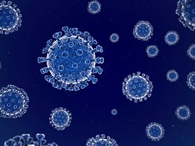 Virus