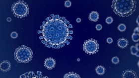 3D Rendering,Human coronavirus.Coronaviruses (CoV) are a large family of viruses that cause illness