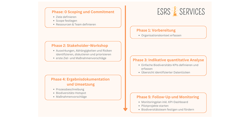 Vorgehen Biodiversitätscheck