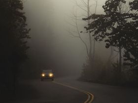 Wald Nebel Auto Verwirrung Undurchsichtig