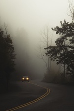 Wald Nebel Auto Verwirrung Undurchsichtig