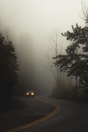 Wald Nebel Auto Verwirrung Undurchsichtig
