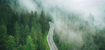Waldstraße mit Nebel