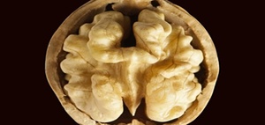 Zukunftstechnologien: Integration von PropTechs