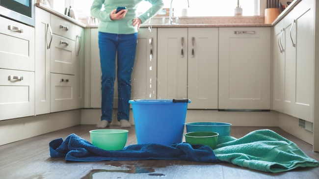 Zwischen Algorithmus und Alltag 