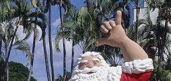 Weihnachtsmannatrappe unter Palmen