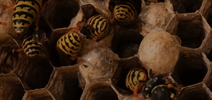 Lern-Communitys im Unternehmen aufbauen