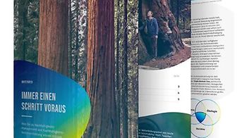 Whitepaper Sustainability Fin
