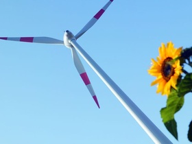 Windkraftrotor, Sonnenblume