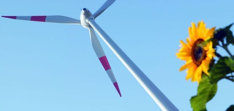 Windkraftrotor, Sonnenblume