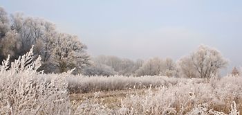Winterliche Landschaft